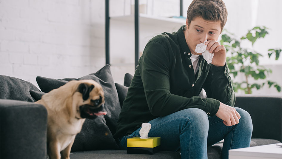 Purchasing an air purifier is one of the wisest approaches to enhance your house’s indoor air quality. Find out more about the three smartest products. 